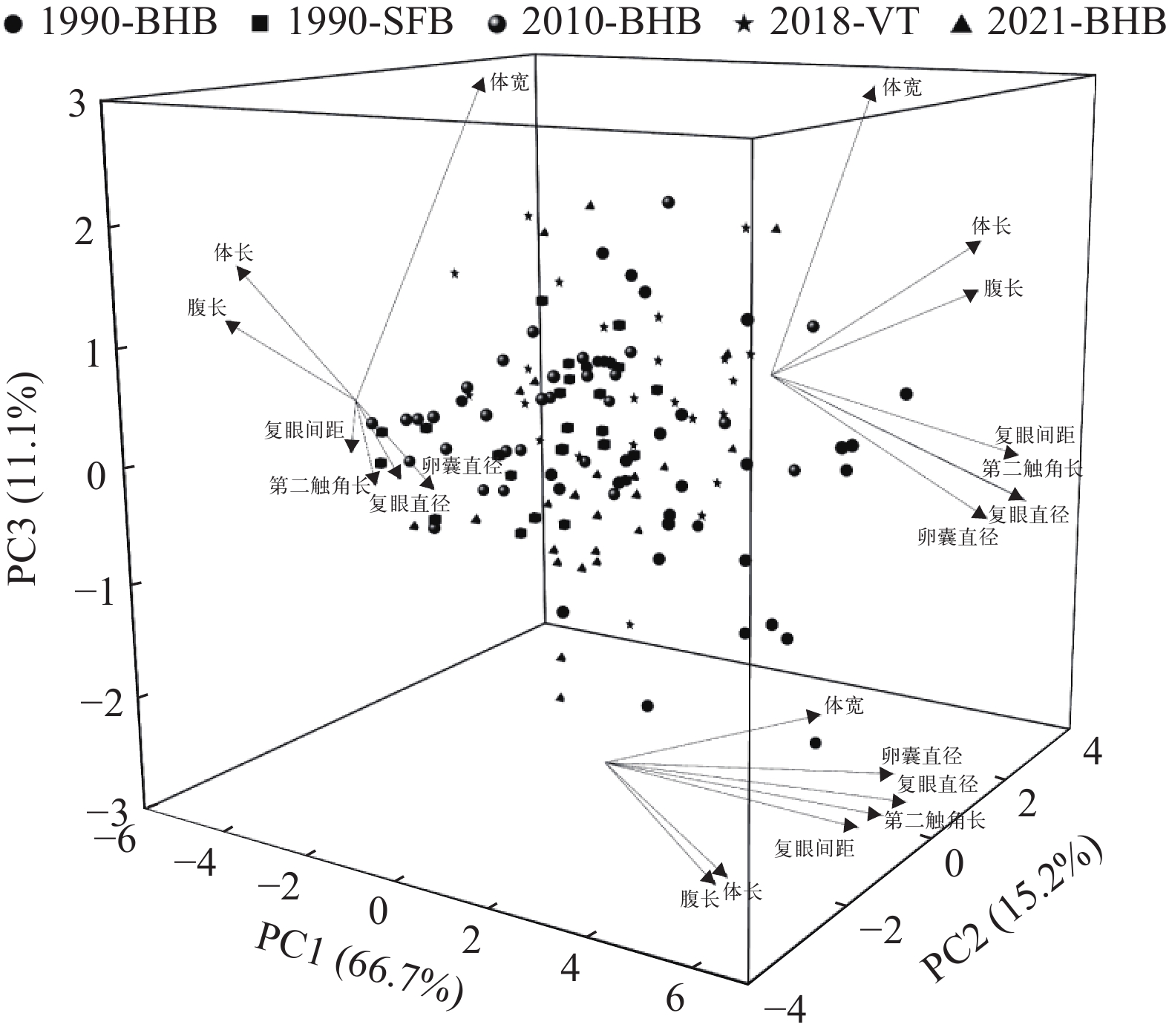 雌性成虫形态学测量值数据主成分分析